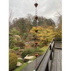 Regnkde / Stor Rund (Stort Mellemrum)