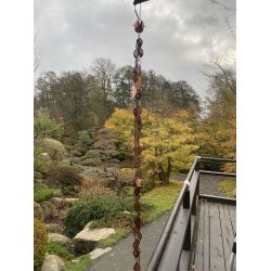 Regnkde / Kde med Blade