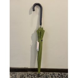 Japansk Paraply / Grn
