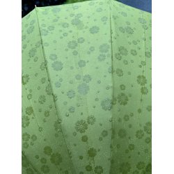 Japansk Paraply / Grn
