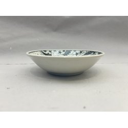 Lav Brne Skl / Dinosaurus