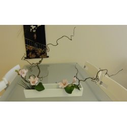Ikebana Skl / Hvid, Aflang Firkant
