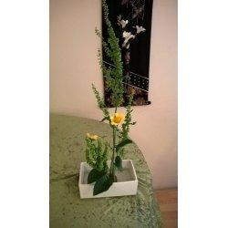Ikebana Skl / Hvid, Firkant
